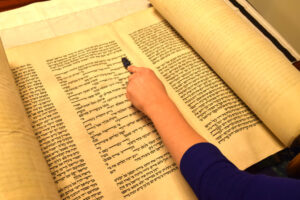woman reading Torah scroll with her arm.jpg